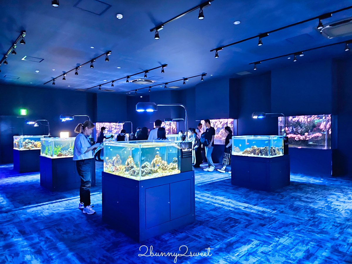 沖繩親子景點推薦｜DMM Kariyushi 水族館：結合數位科技、互動體驗與2025全新動物園區 @兔兒毛毛姊妹花