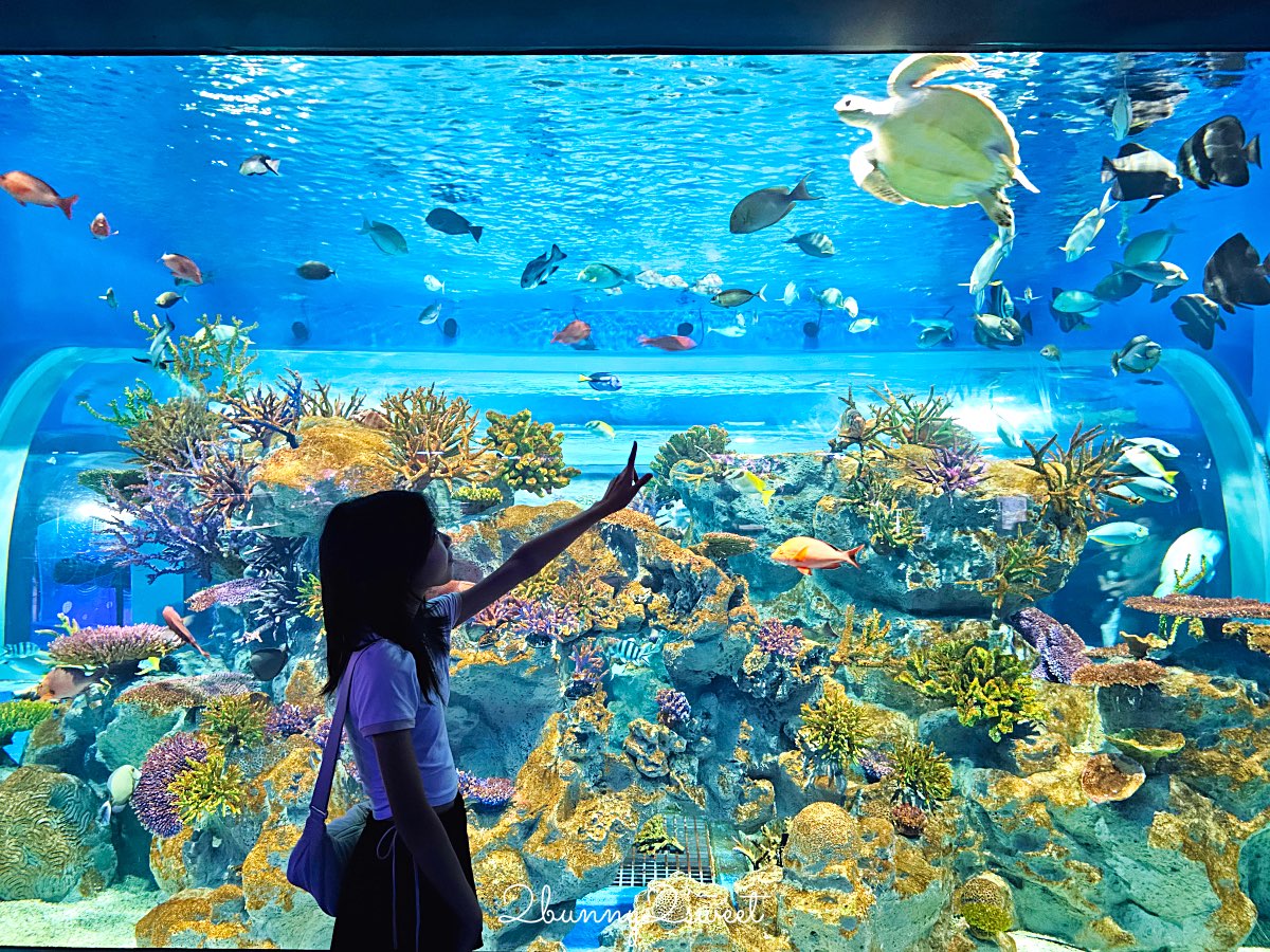 沖繩親子景點推薦｜DMM Kariyushi 水族館：結合數位科技、互動體驗與2025全新動物園區 @兔兒毛毛姊妹花