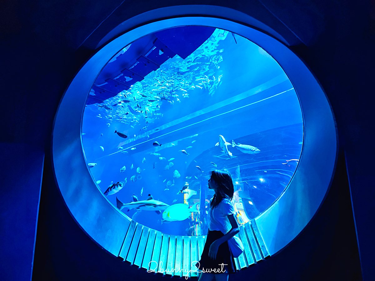 沖繩親子景點推薦｜DMM Kariyushi 水族館：結合數位科技、互動體驗與2025全新動物園區 @兔兒毛毛姊妹花