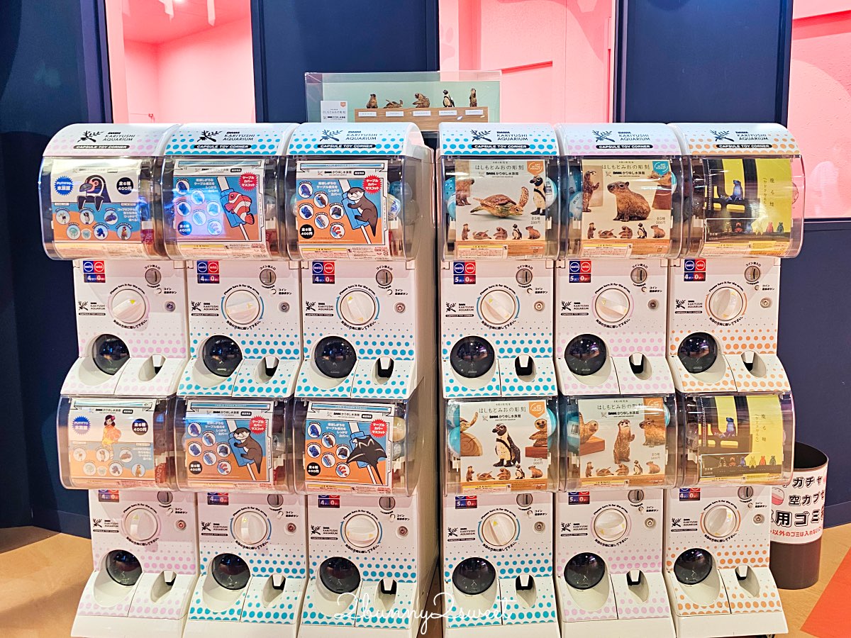 沖繩親子景點推薦｜DMM Kariyushi 水族館：結合數位科技、互動體驗與2025全新動物園區 @兔兒毛毛姊妹花