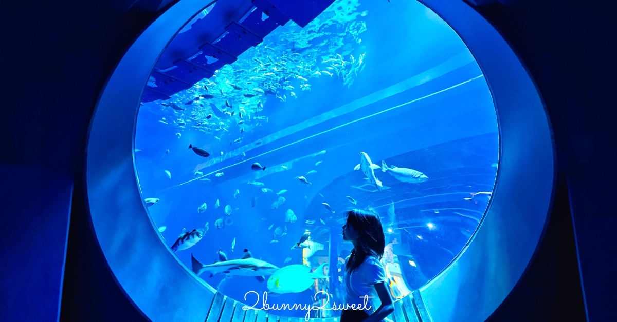 台東美食》旗遇海味～成功漁港清水模海景餐廳，職人級魚鮮料理超美味 @兔兒毛毛姊妹花