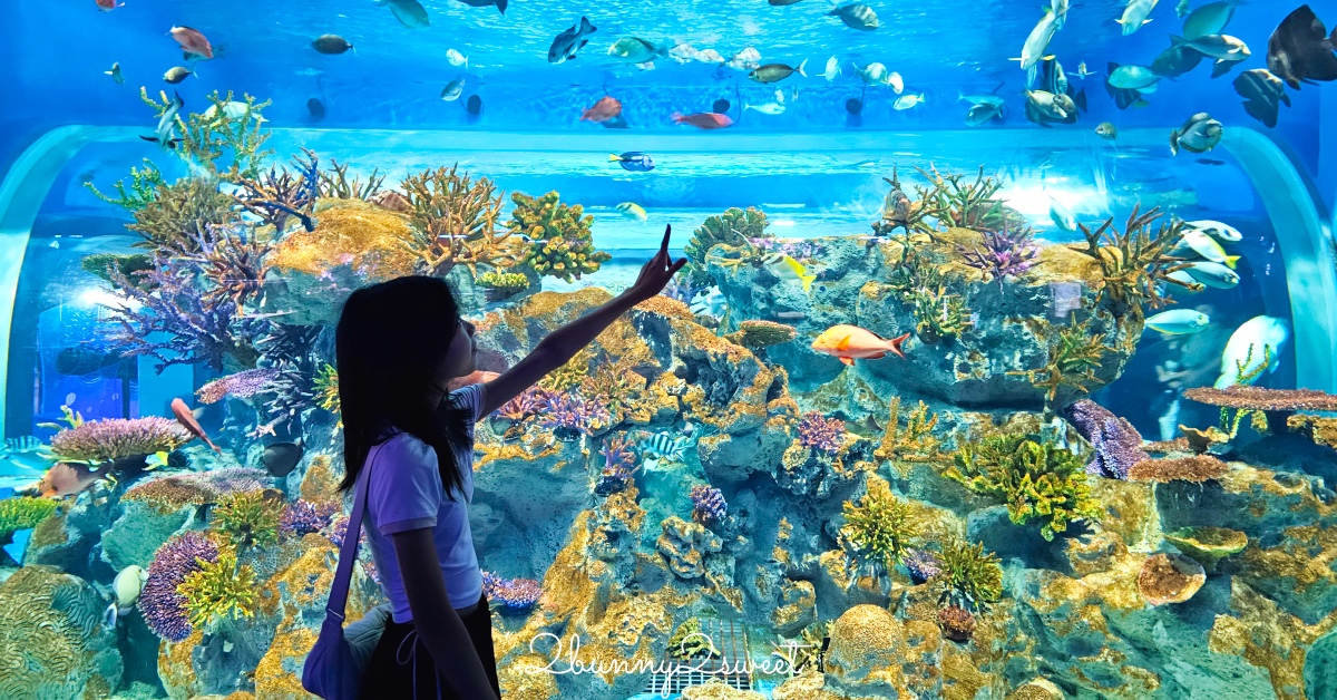 沖繩親子景點推薦｜DMM Kariyushi 水族館：結合數位科技、互動體驗與2025全新動物園區 @兔兒毛毛姊妹花
