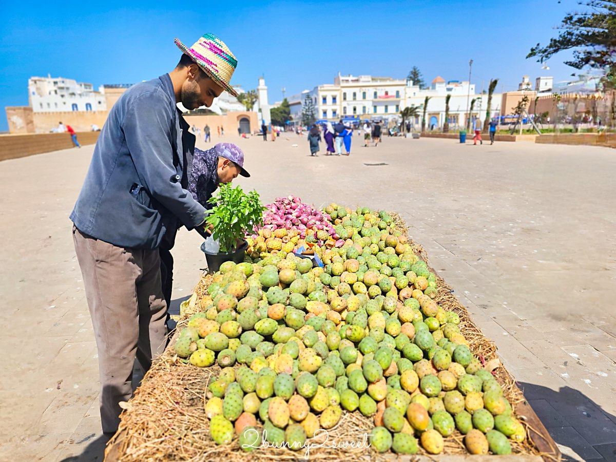 摩洛哥【索維拉 Essaouira】迷人海港古城藍白小鎮，權力遊戲拍攝地點必吃必玩攻略 @兔兒毛毛姊妹花