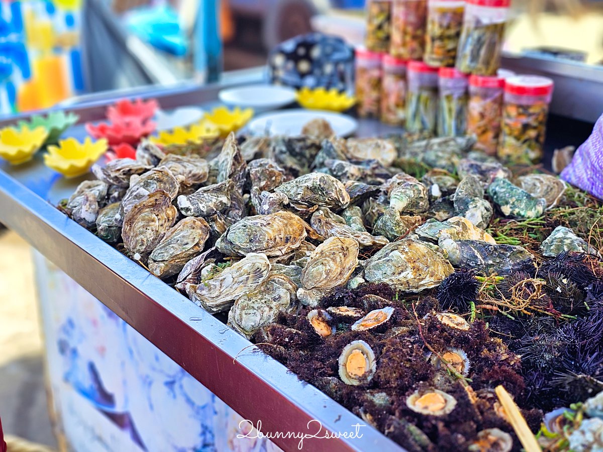 摩洛哥【索維拉 Essaouira】迷人海港古城藍白小鎮，權力遊戲拍攝地點必吃必玩攻略 @兔兒毛毛姊妹花