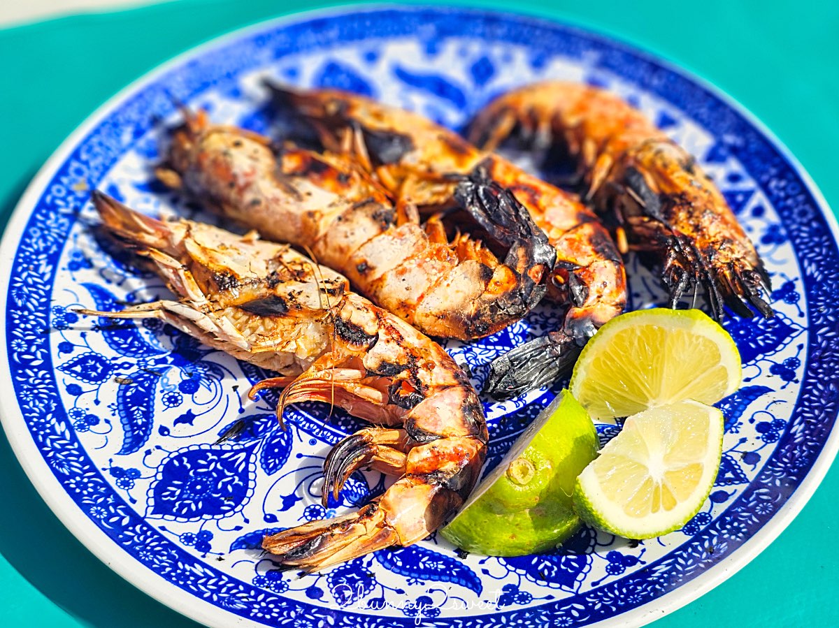 摩洛哥【索維拉 Essaouira】迷人海港古城藍白小鎮，權力遊戲拍攝地點必吃必玩攻略 @兔兒毛毛姊妹花