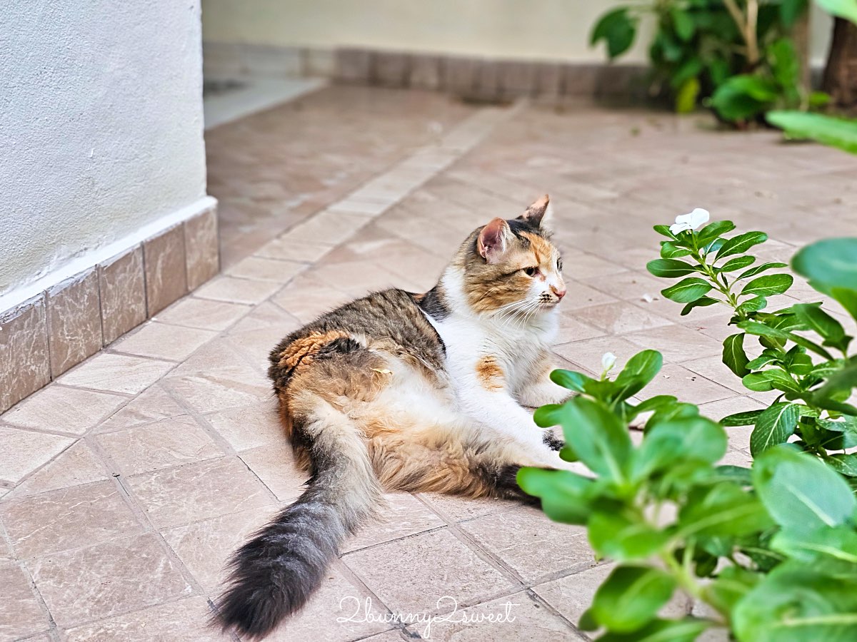 摩洛哥【Riad Les Remparts de La Kasbah】馬拉喀什老城區絕美花園傳統庭院旅館開箱 @兔兒毛毛姊妹花