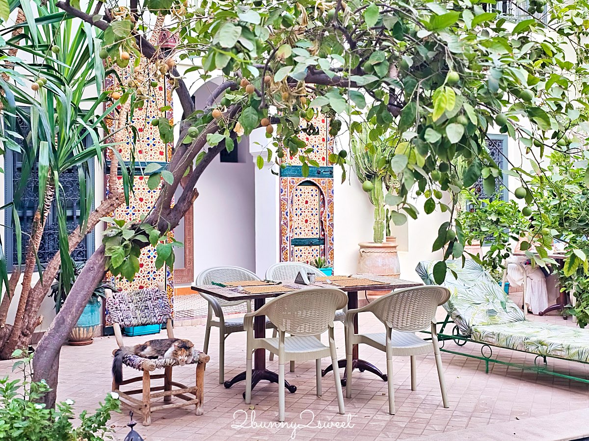 摩洛哥【Riad Les Remparts de La Kasbah】馬拉喀什老城區絕美花園傳統庭院旅館開箱 @兔兒毛毛姊妹花
