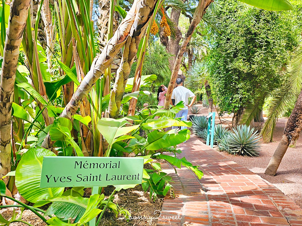 摩洛哥馬拉喀什必訪藍色花園【馬若雷勒花園 Jardin Majorelle】、時尚殿堂【YSL博物館】 @兔兒毛毛姊妹花