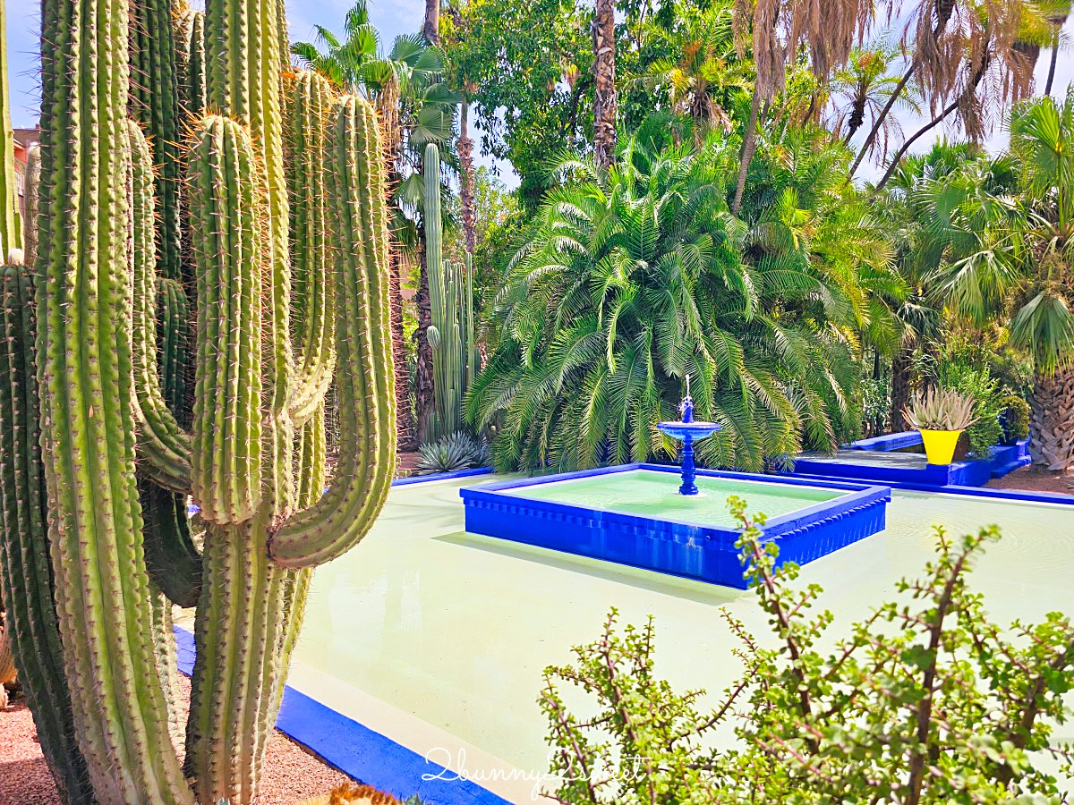 摩洛哥馬拉喀什必訪藍色花園【馬若雷勒花園 Jardin Majorelle】、時尚殿堂【YSL博物館】 @兔兒毛毛姊妹花