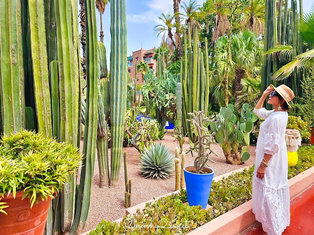 摩洛哥馬拉喀什必訪藍色花園【馬若雷勒花園 Jardin Majorelle】、時尚殿堂【YSL博物館】 @兔兒毛毛姊妹花