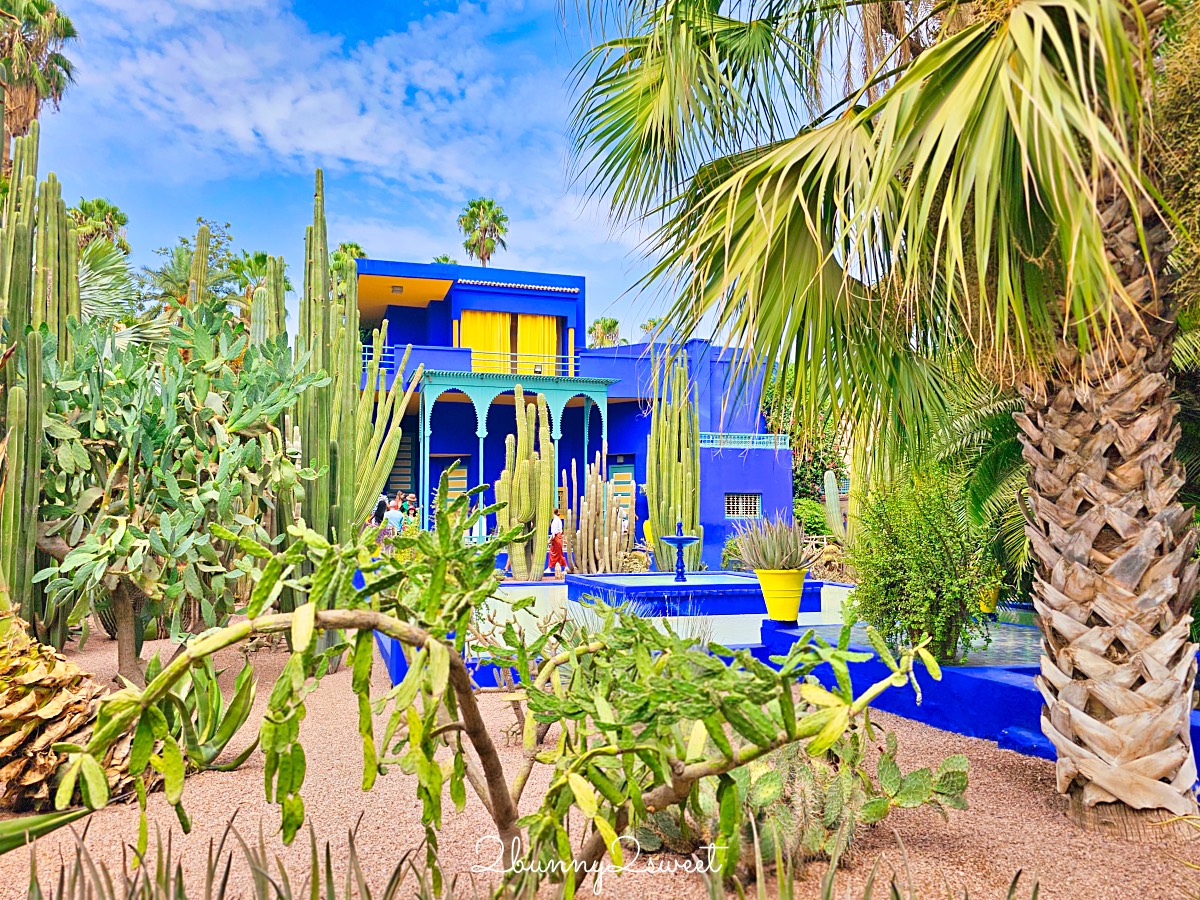 摩洛哥馬拉喀什必訪藍色花園【馬若雷勒花園 Jardin Majorelle】、時尚殿堂【YSL博物館】 @兔兒毛毛姊妹花