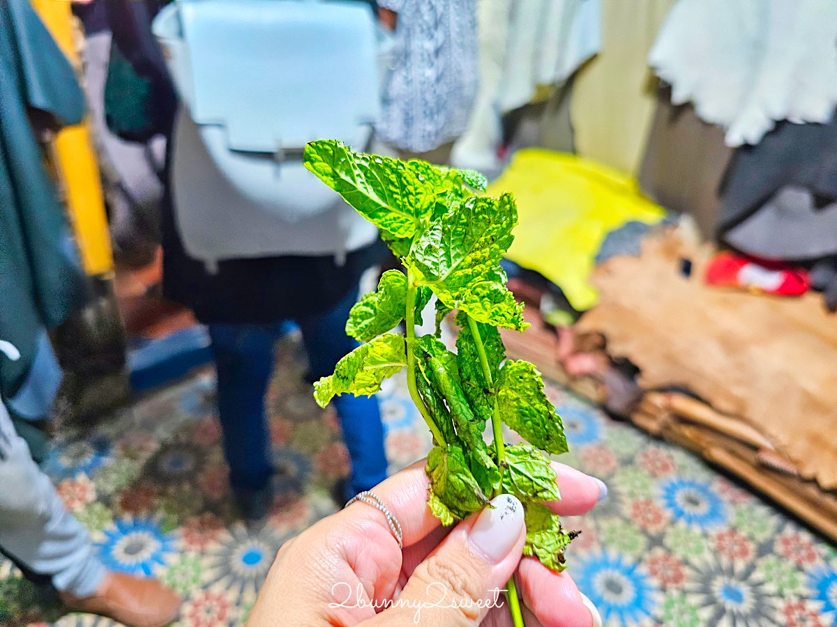 摩洛哥【菲斯景點】一日遊攻略：老城迷宮、皮革染坊、藍門與千年古城散步地圖 @兔兒毛毛姊妹花