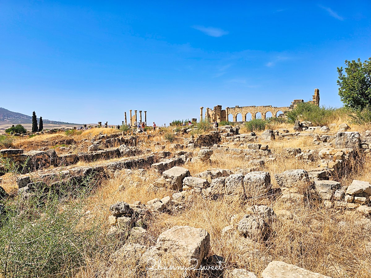 摩洛哥千年古城奇蹟！【瓦魯比利斯 Volubilis】世界遺產羅馬古城遺跡全攻略 @兔兒毛毛姊妹花