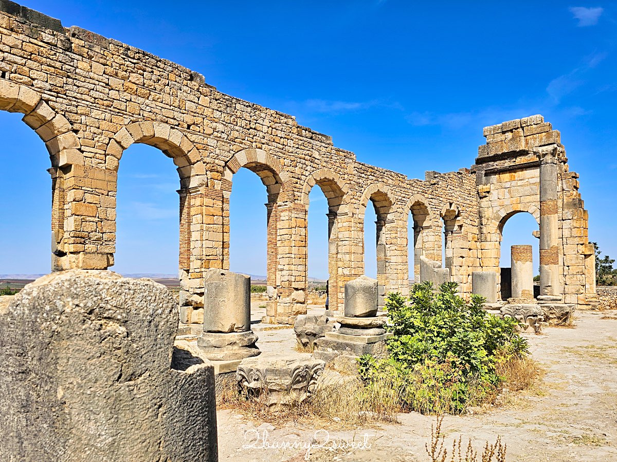 摩洛哥千年古城奇蹟！【瓦魯比利斯 Volubilis】世界遺產羅馬古城遺跡全攻略 @兔兒毛毛姊妹花