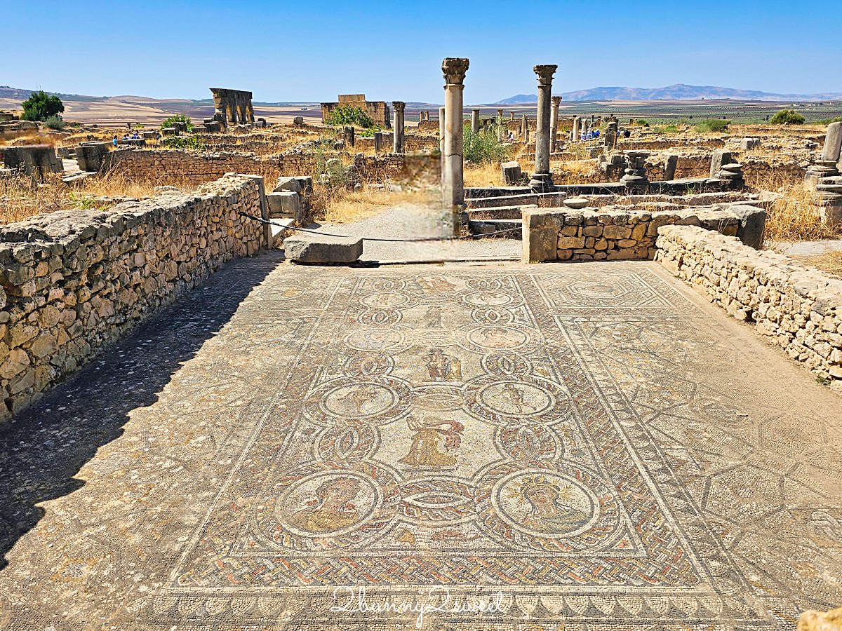 摩洛哥千年古城奇蹟！【瓦魯比利斯 Volubilis】世界遺產羅馬古城遺跡全攻略 @兔兒毛毛姊妹花