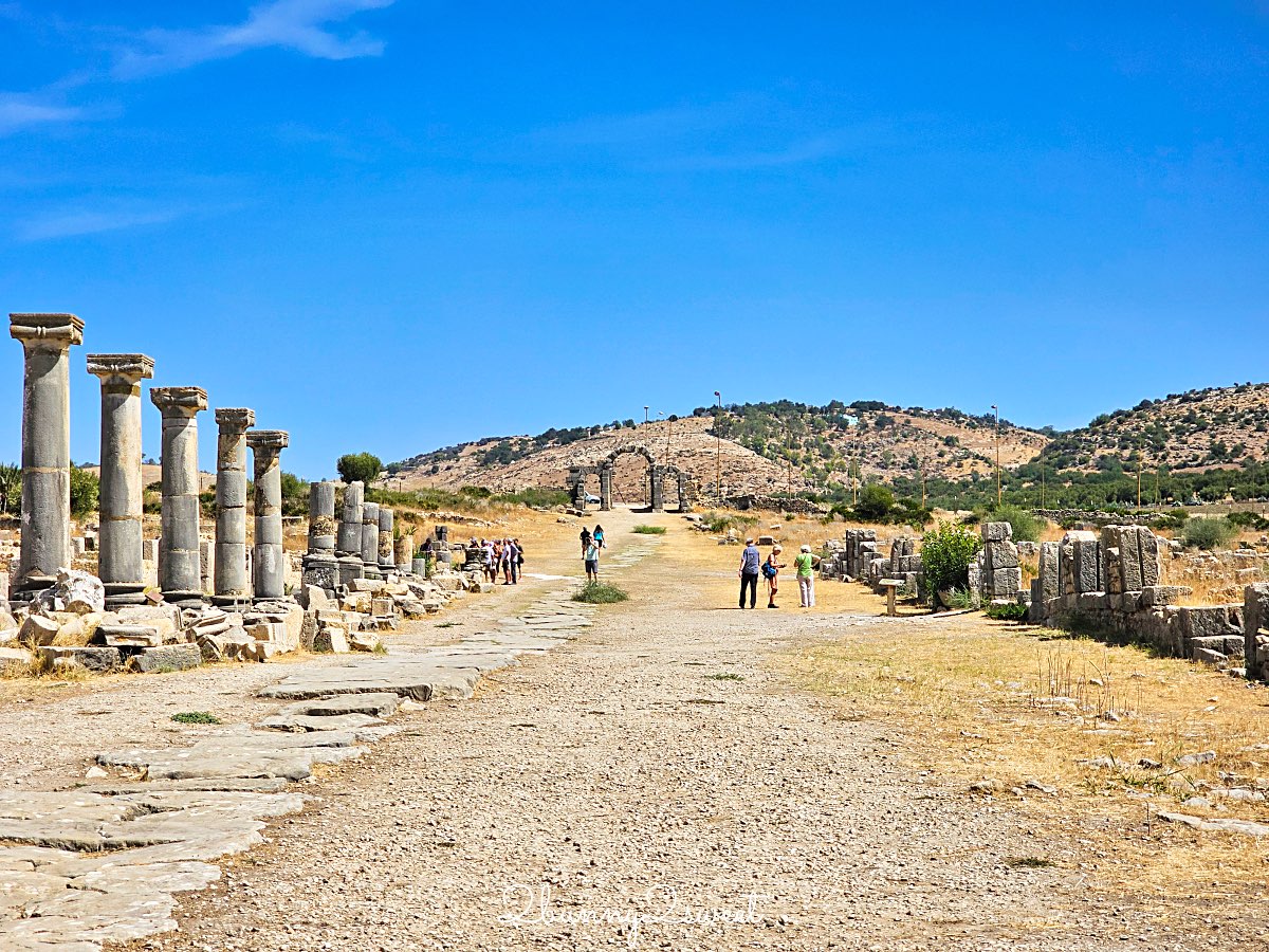 摩洛哥千年古城奇蹟！【瓦魯比利斯 Volubilis】世界遺產羅馬古城遺跡全攻略 @兔兒毛毛姊妹花