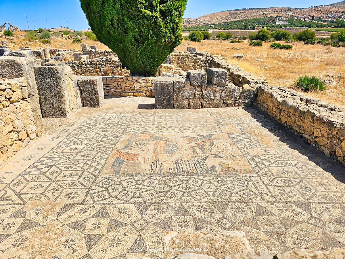 摩洛哥千年古城奇蹟！【瓦魯比利斯 Volubilis】世界遺產羅馬古城遺跡全攻略 @兔兒毛毛姊妹花
