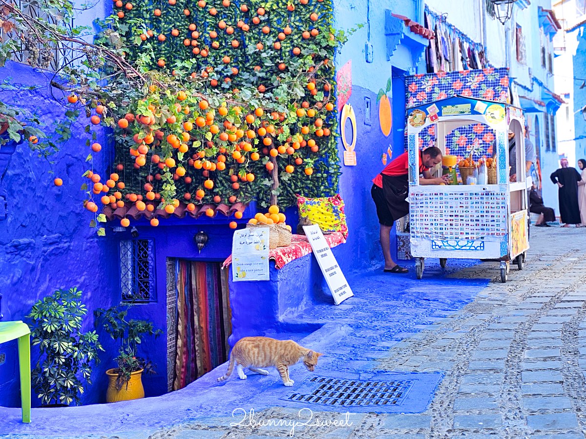 摩洛哥【舍夫沙萬 Chefchaouen】世界最夢幻藍色山城，必拍打卡點、必買伴手禮全攻略 @兔兒毛毛姊妹花