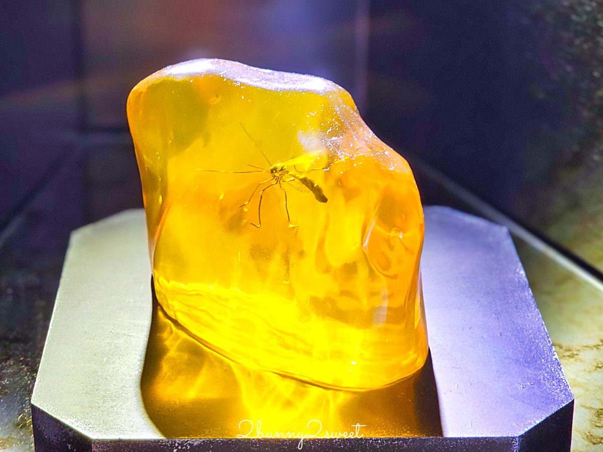 【曼谷侏羅紀世界 Jurassic World】沉浸式恐龍世界互動式冒險體驗，恐龍迷必訪！ @兔兒毛毛姊妹花