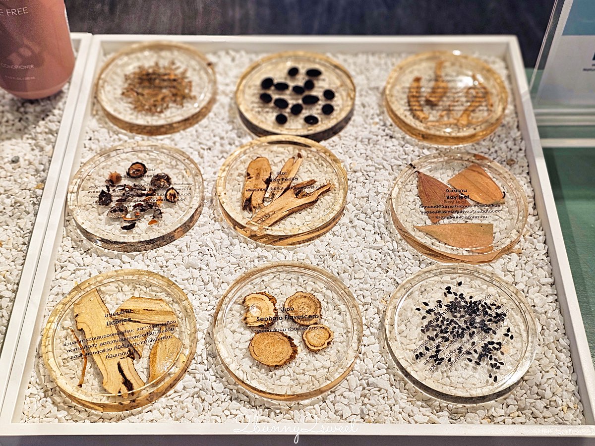 【One Nimman】清邁最美文青商場～在地設計品牌、香氛選物、貓咪咖啡、米其林餐廳一次逛透！ @兔兒毛毛姊妹花