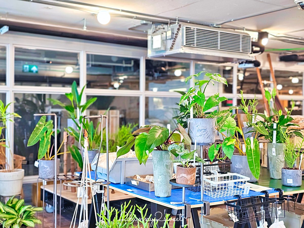 曼谷設計迷必訪【FRIEND FRIEND】Emporium停車場改建，以綠意與光打造的生活美學空間 @兔兒毛毛姊妹花