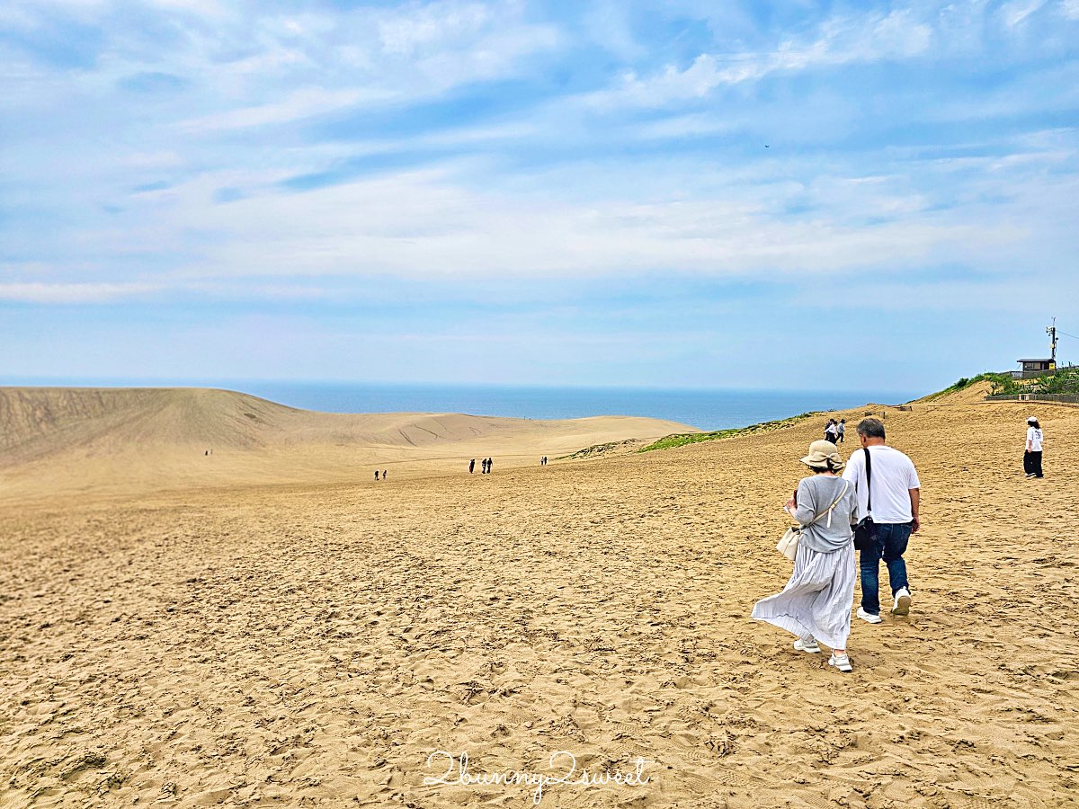 【鳥取不自駕自由行】五天四夜行程全攻略：虎航直飛米子、交通票券、柯南砂丘景點懶人包 @兔兒毛毛姊妹花