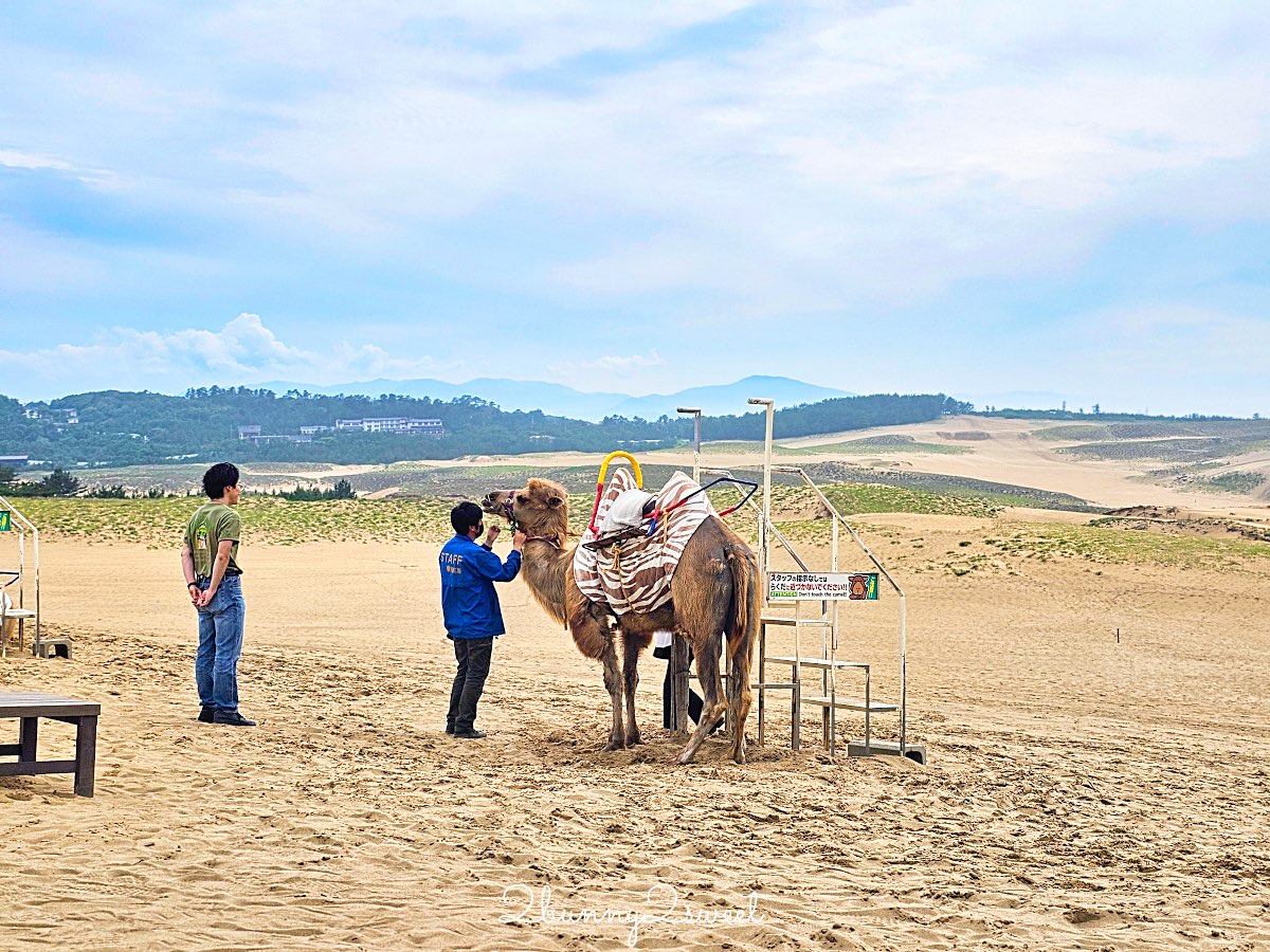 【鳥取沙丘一日遊】大眾運輸輕鬆玩砂之美術館・展望台・沙丘・海景咖啡廳全攻略 @兔兒毛毛姊妹花 【鳥取沙丘一日遊】大眾運輸輕鬆玩砂之美術館・展望台・沙丘・海景咖啡廳全攻略 @兔兒毛毛姊妹花