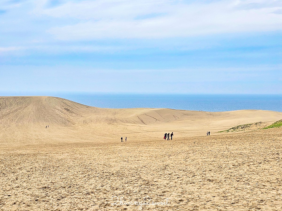 【鳥取沙丘一日遊】大眾運輸輕鬆玩砂之美術館・展望台・沙丘・海景咖啡廳全攻略 @兔兒毛毛姊妹花