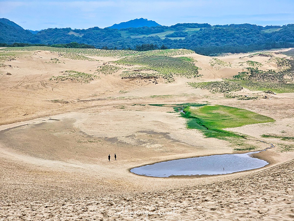 【鳥取沙丘一日遊】大眾運輸輕鬆玩砂之美術館・展望台・沙丘・海景咖啡廳全攻略 @兔兒毛毛姊妹花 【鳥取沙丘一日遊】大眾運輸輕鬆玩砂之美術館・展望台・沙丘・海景咖啡廳全攻略 @兔兒毛毛姊妹花