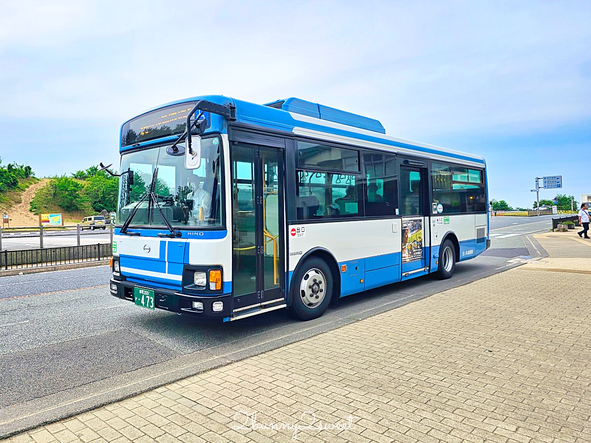 【鳥取沙丘一日遊】大眾運輸輕鬆玩砂之美術館・展望台・沙丘・海景咖啡廳全攻略 @兔兒毛毛姊妹花 【鳥取沙丘一日遊】大眾運輸輕鬆玩砂之美術館・展望台・沙丘・海景咖啡廳全攻略 @兔兒毛毛姊妹花
