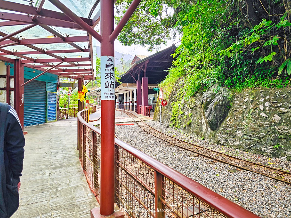 【烏來台車】超可愛山林小火車！烏來老街直達瀑布的親子必搭交通｜票價、路線、交通方式一次看 @兔兒毛毛姊妹花