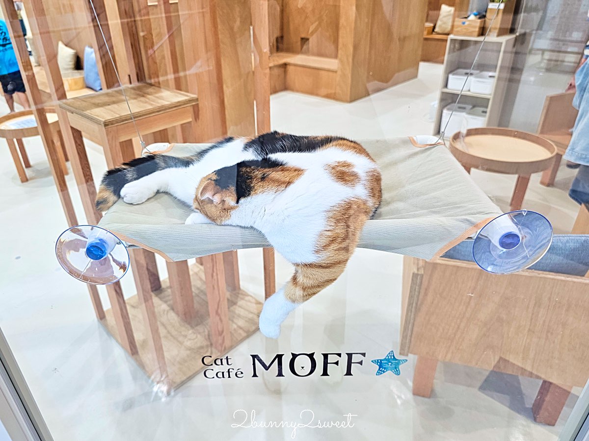 【iias 沖繩豐崎全攻略】沖繩南部最大購物中心～必逛必吃、親子設施、水族館、交通&退稅資訊 @兔兒毛毛姊妹花