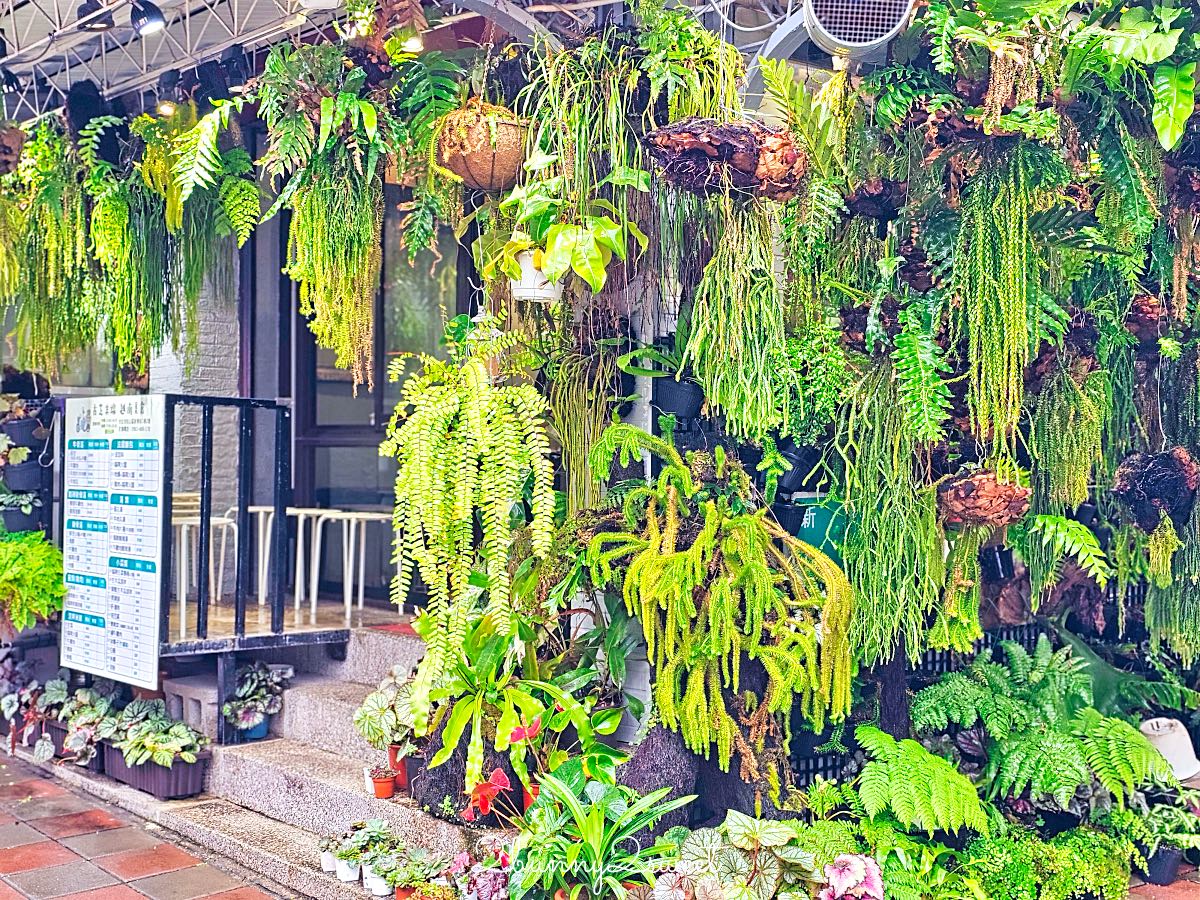 【古芝米線越南美食】台北民生社區美食～被整面綠牆包圍的道地越南河粉小店 @兔兒毛毛姊妹花