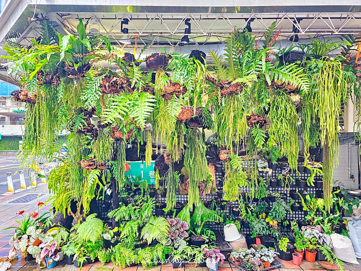 【古芝米線越南美食】台北民生社區美食～被整面綠牆包圍的道地越南河粉小店 @兔兒毛毛姊妹花