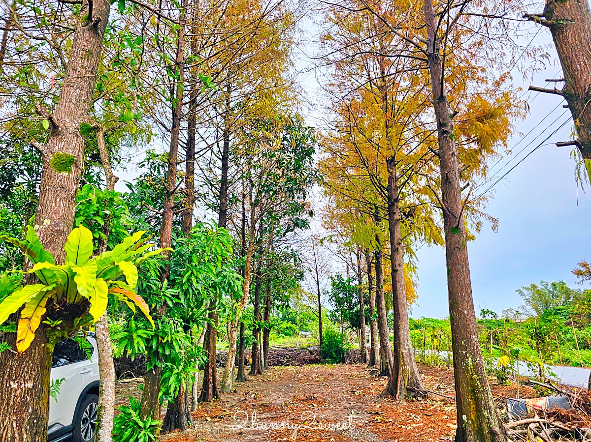 【白雲山鹿】礁溪早餐推薦～粉漿蛋餅、蘿蔔糕、花生湯，礁溪必吃台式早餐 @兔兒毛毛姊妹花