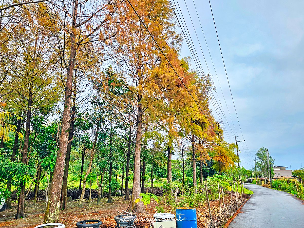 【白雲山鹿】礁溪早餐推薦~粉漿蛋餅、蘿蔔糕、花生湯,礁溪必吃台式早餐 @兔兒毛毛姊妹花 【白雲山鹿】礁溪早餐推薦~粉漿蛋餅、蘿蔔糕、花生湯,礁溪必吃台式早餐 @兔兒毛毛姊妹花
