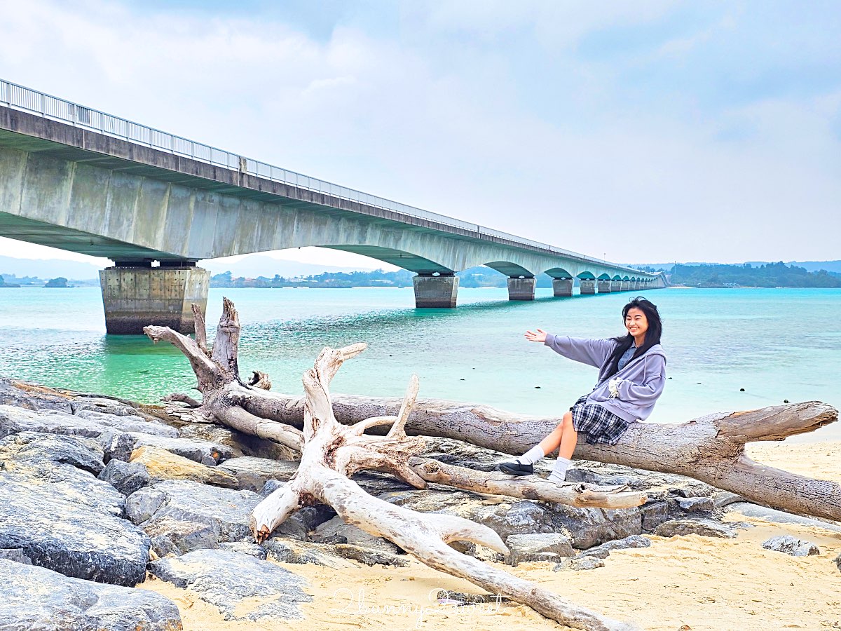 【沖繩北部包車一日遊】行腳沖繩包車實走路線：星野海景咖啡＋古宇利島＋美麗海水族館輕鬆玩 @兔兒毛毛姊妹花