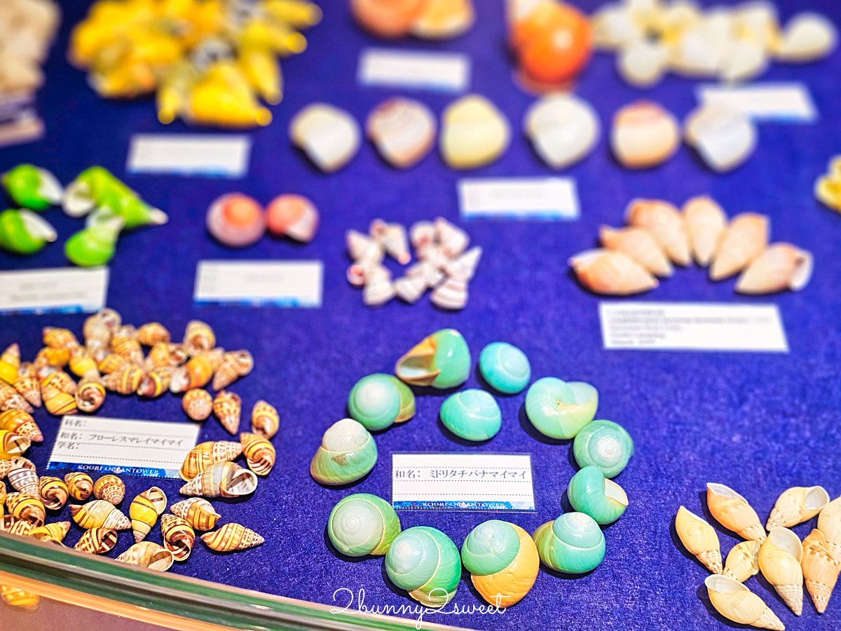 【古宇利海洋塔】室內看海＋戶外展望台一次收錄古宇利大橋全景，親子也適合的北部景點 @兔兒毛毛姊妹花