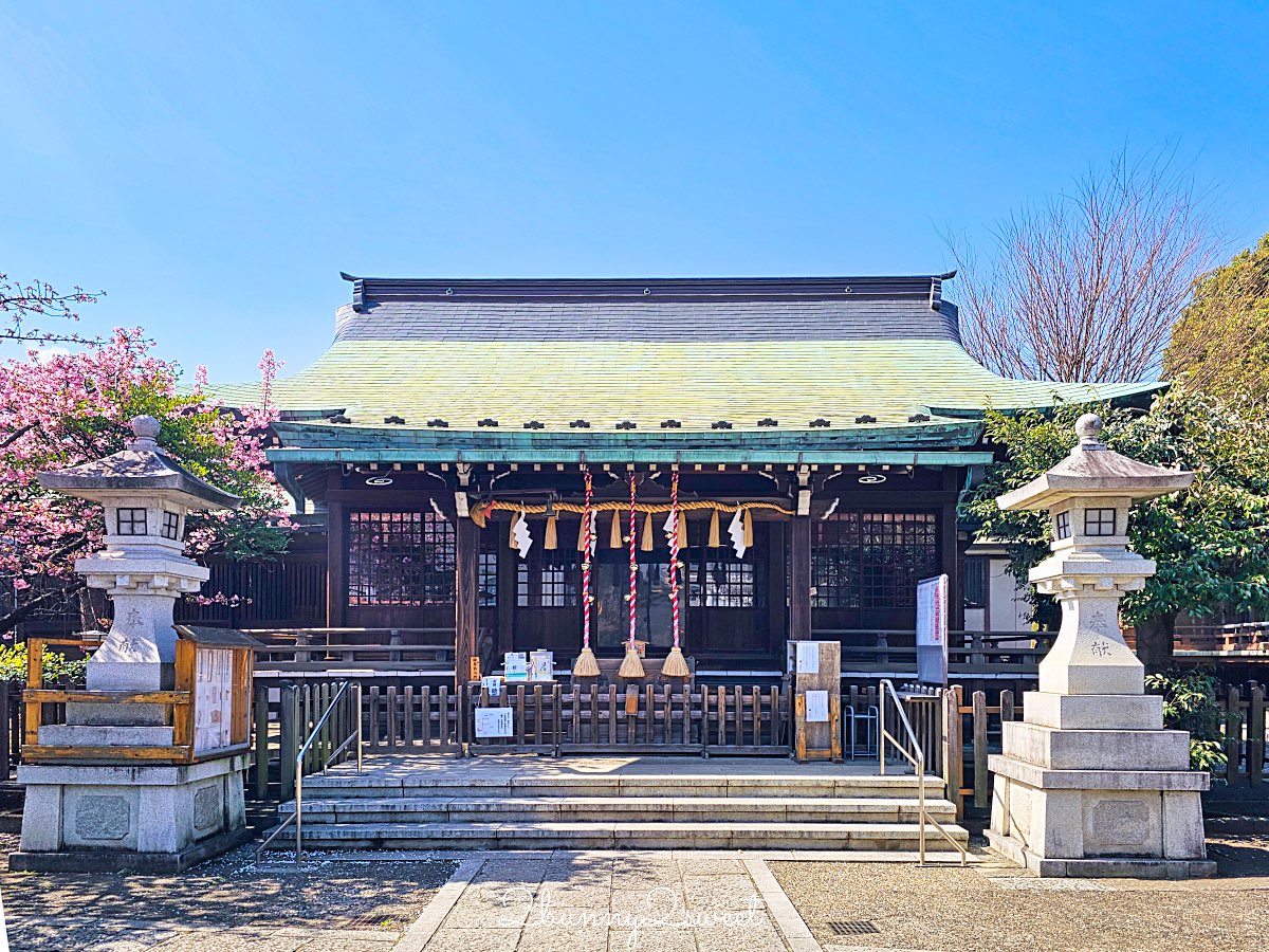 【新宿下落合冰川神社】東京河津櫻景點推薦，不輸櫻神宮的隱藏版秘境櫻花神社 @兔兒毛毛姊妹花