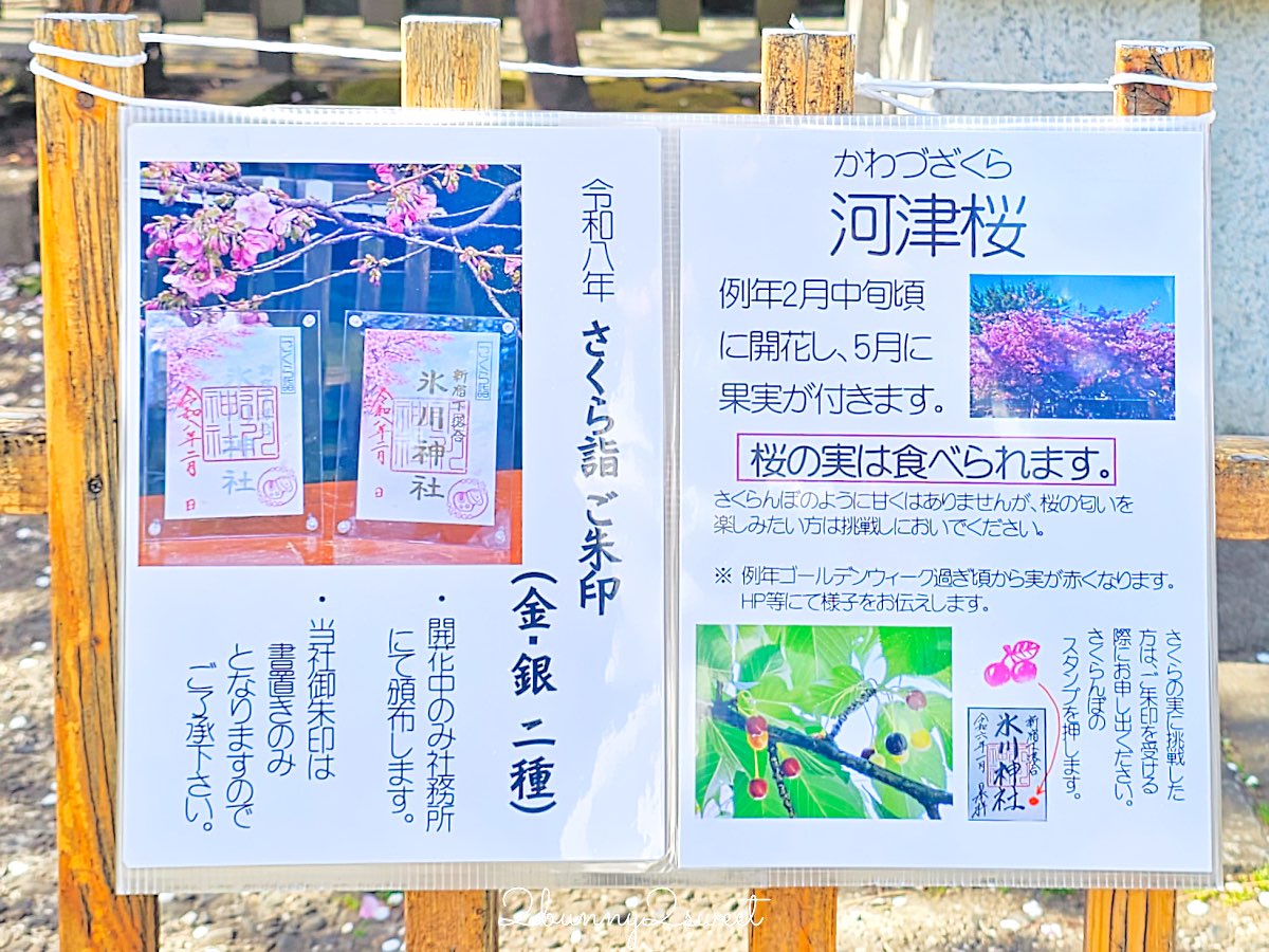 【新宿下落合冰川神社】東京河津櫻景點推薦，不輸櫻神宮的隱藏版秘境櫻花神社 @兔兒毛毛姊妹花