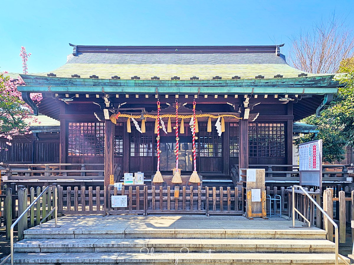 【新宿下落合冰川神社】東京河津櫻景點推薦，不輸櫻神宮的隱藏版秘境櫻花神社 @兔兒毛毛姊妹花