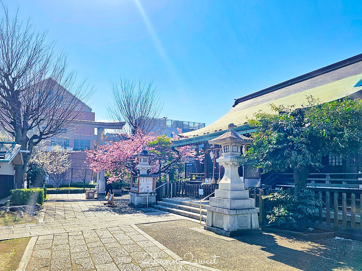 【新宿下落合冰川神社】東京河津櫻景點推薦，不輸櫻神宮的隱藏版秘境櫻花神社 @兔兒毛毛姊妹花