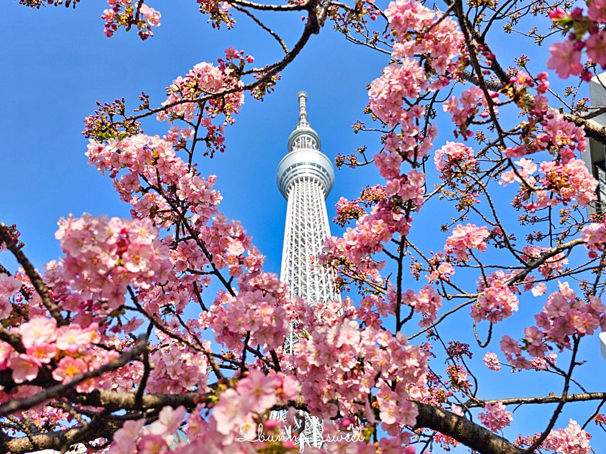 【東京河津櫻懶人包】2月東京賞櫻必去10大景點推薦(市區＋近郊)，東京早櫻地圖攻略 @兔兒毛毛姊妹花