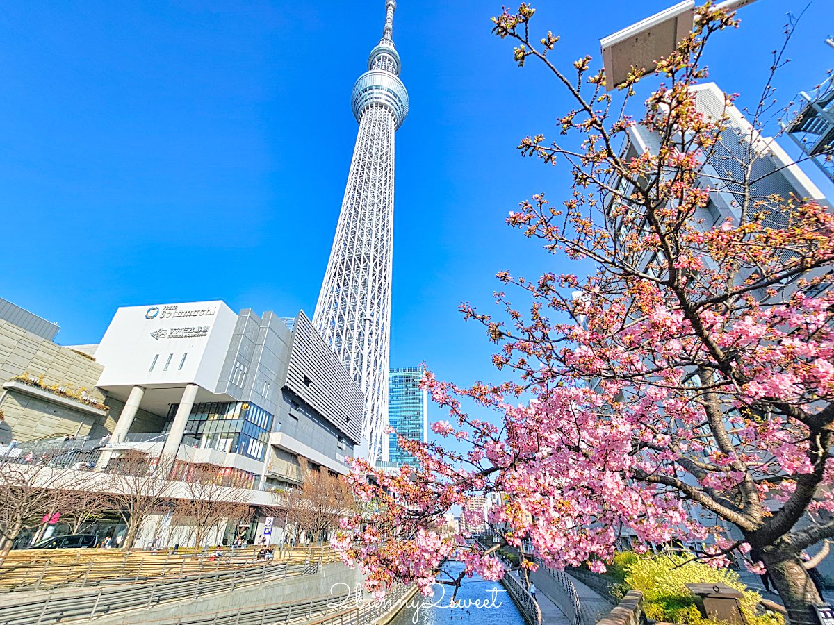 【晴空塔東武橋河津櫻】東京最夢幻早櫻拍攝點，二月櫻花＋Skytree同框經典畫面 @兔兒毛毛姊妹花
