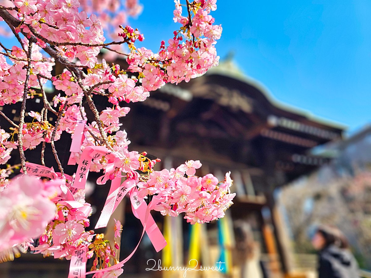 【櫻神宮】東京最夢幻櫻花神社!河津櫻、粉紅祈願緞帶、必收蕾絲御守的東京早櫻景點 @兔兒毛毛姊妹花 【櫻神宮】東京最夢幻櫻花神社!河津櫻、粉紅祈願緞帶、必收蕾絲御守的東京早櫻景點 @兔兒毛毛姊妹花