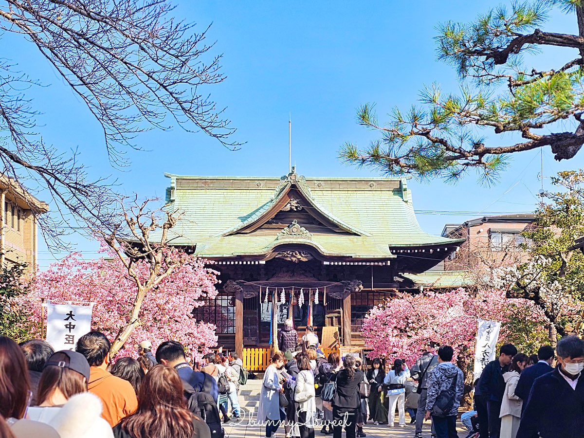 【櫻神宮】東京最夢幻櫻花神社!河津櫻、粉紅祈願緞帶、必收蕾絲御守的東京早櫻景點 @兔兒毛毛姊妹花 【櫻神宮】東京最夢幻櫻花神社!河津櫻、粉紅祈願緞帶、必收蕾絲御守的東京早櫻景點 @兔兒毛毛姊妹花