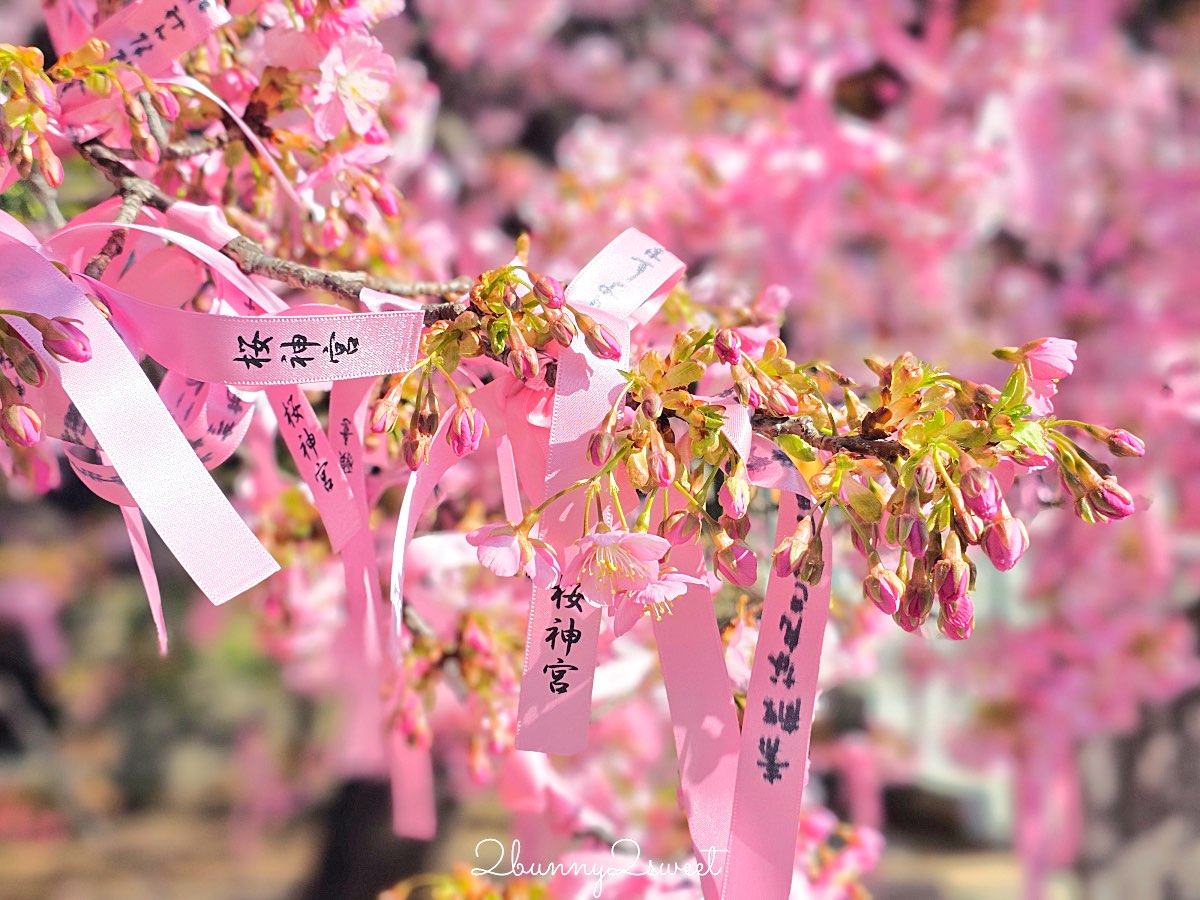 【櫻神宮】東京最夢幻櫻花神社!河津櫻、粉紅祈願緞帶、必收蕾絲御守的東京早櫻景點 @兔兒毛毛姊妹花 【櫻神宮】東京最夢幻櫻花神社!河津櫻、粉紅祈願緞帶、必收蕾絲御守的東京早櫻景點 @兔兒毛毛姊妹花