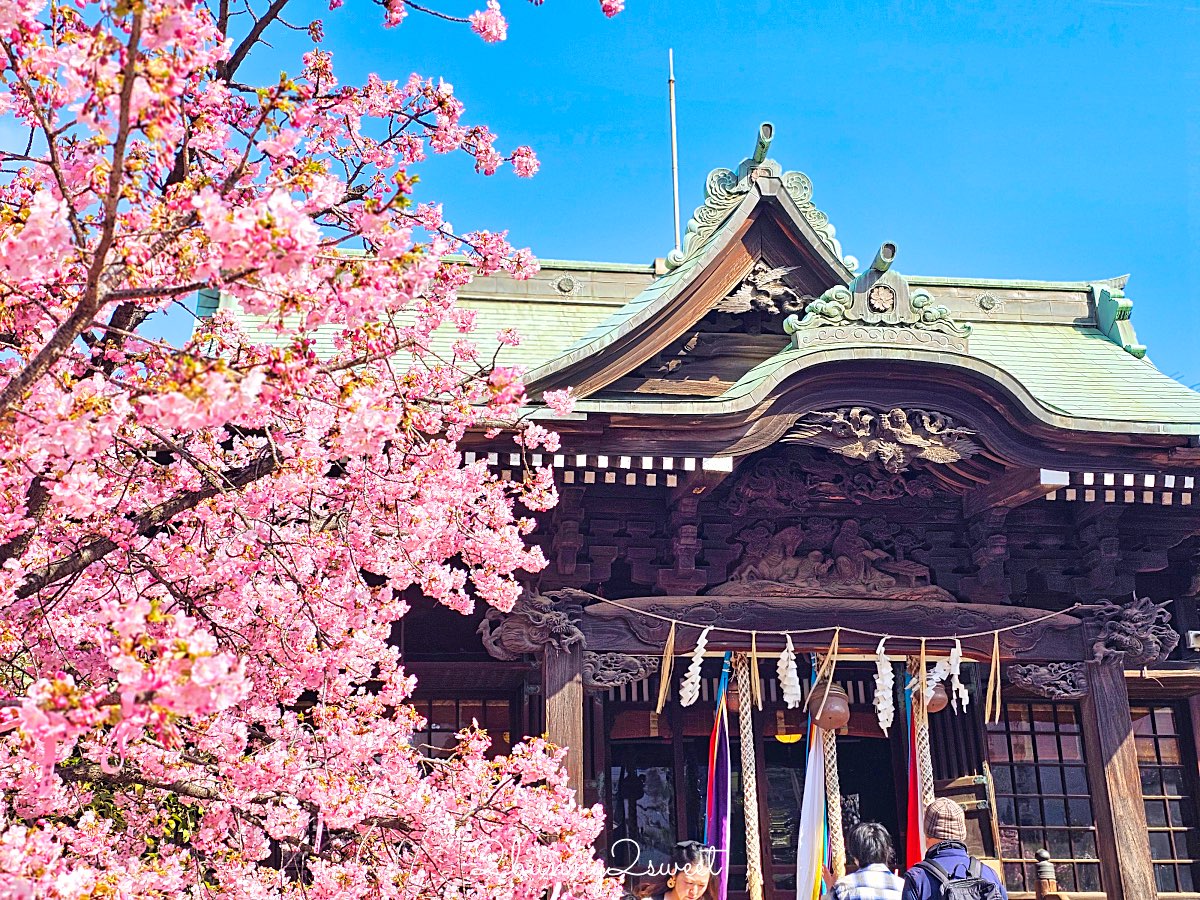【櫻神宮】東京最夢幻櫻花神社!河津櫻、粉紅祈願緞帶、必收蕾絲御守的東京早櫻景點 @兔兒毛毛姊妹花 【櫻神宮】東京最夢幻櫻花神社!河津櫻、粉紅祈願緞帶、必收蕾絲御守的東京早櫻景點 @兔兒毛毛姊妹花