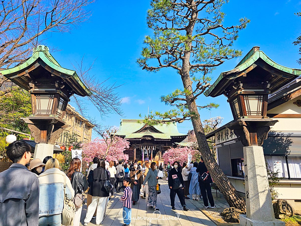 【櫻神宮】東京最夢幻櫻花神社!河津櫻、粉紅祈願緞帶、必收蕾絲御守的東京早櫻景點 @兔兒毛毛姊妹花 【櫻神宮】東京最夢幻櫻花神社!河津櫻、粉紅祈願緞帶、必收蕾絲御守的東京早櫻景點 @兔兒毛毛姊妹花
