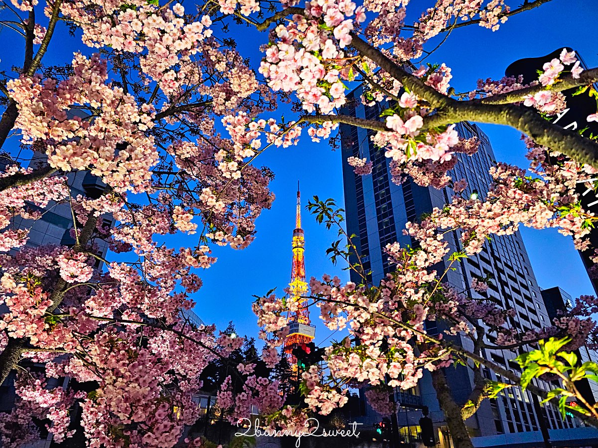 【東京河津櫻懶人包】2月東京賞櫻必去10大景點推薦(市區＋近郊)，東京早櫻地圖攻略 @兔兒毛毛姊妹花